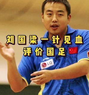 国家乒乓球的领航者——刘国梁（一个乒乓球传奇的故事）