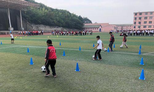 提高足球观察训练技巧的关键要素（解锁足球场上的洞察力，培养专业眼光）