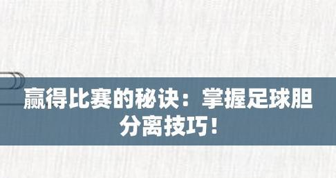 国际足球比赛技巧规则解析（揭秘世界级球员的成功密码）