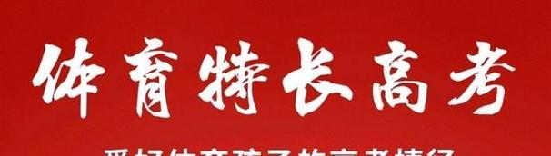乒乓球之美（魅力无限的乒乓球——探寻乒乓球的独特魅力）