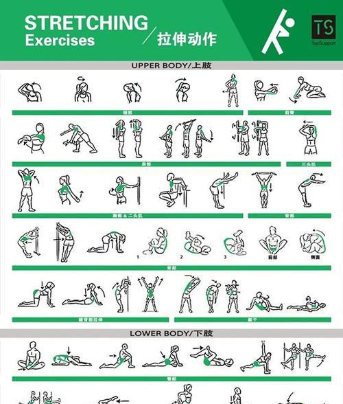 足球颠球技巧的训练方法（掌握颠球技巧的关键要素）