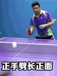 掌握日本乒乓球搓球技巧的必备教程（打造技术精湛的乒乓球高手）