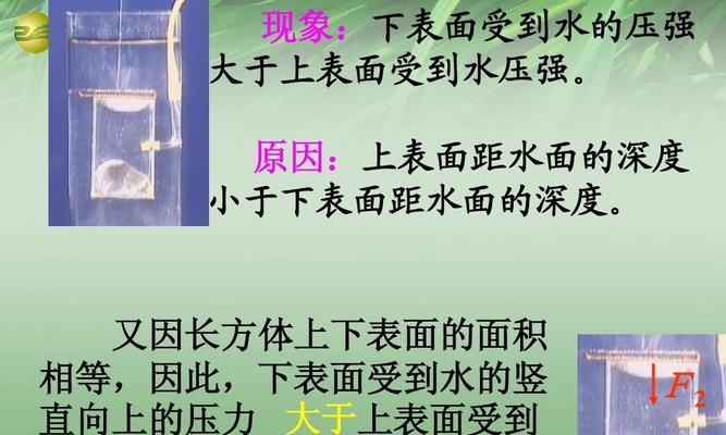 浮力乒乓球的奇妙世界（揭秘浮力乒乓球的物理原理和应用领域）