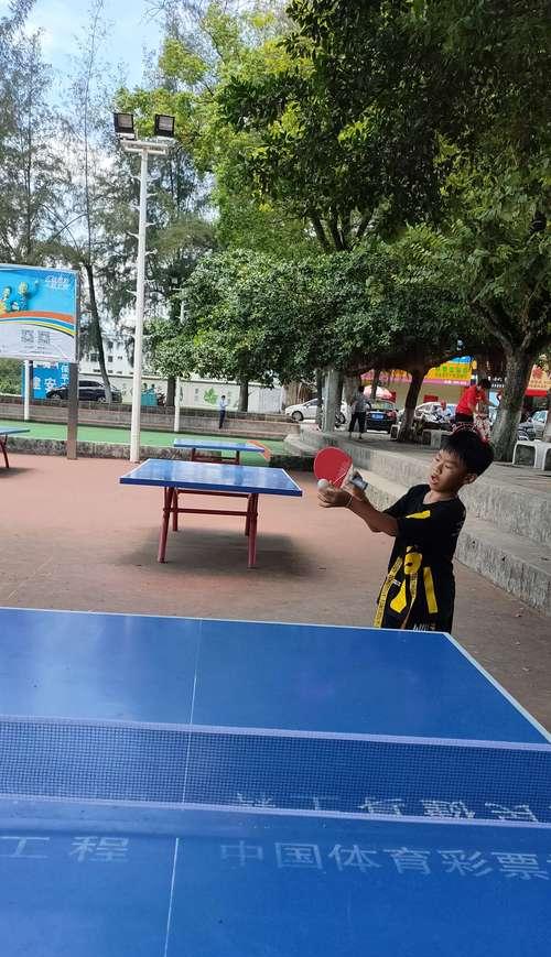 乒乓球迷的苦恼（重拾乒乓球的乐趣，享受打球的乐趣）