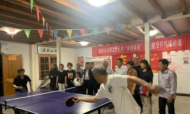 温岭乒乓球冠军小学（为梦想插上翅膀，一起追逐乒乓球的辉煌）