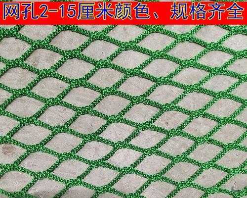 圆形运动之美——乒乓球与篮球（揭开圆形运动的魅力和趣味，探索乒乓球和篮球的共同之处）
