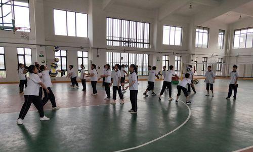 以气排球拖球技巧大揭秘（拖球让你轻松控球，成为比赛的关键人物）