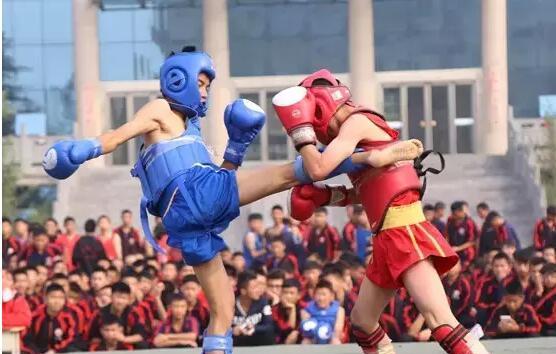 散打训练女子排球动作要领（提高女子排球水平的关键技巧和训练方法）